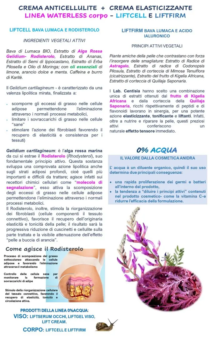 Centisia